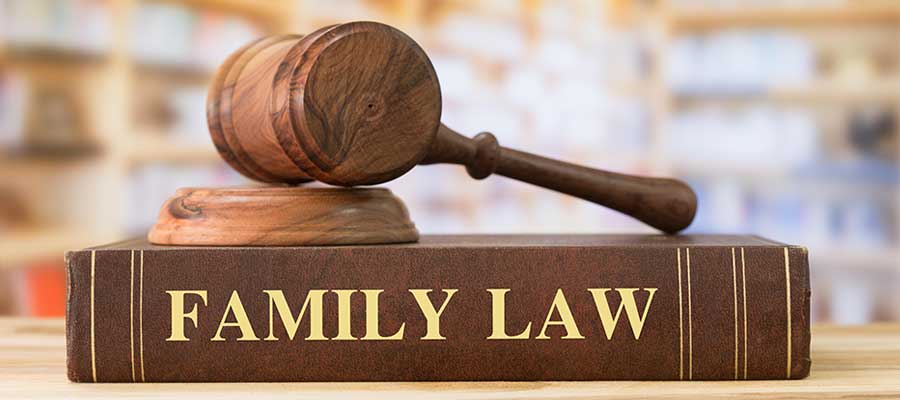 Family Law in New Mexico